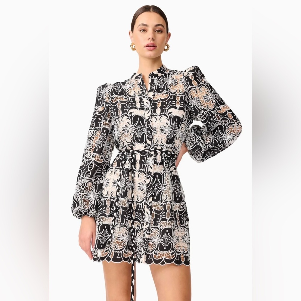 Elliatt Jolie Long Sleeve Mini Dress in Black & White NEW Revolve - Picture 3 of 10